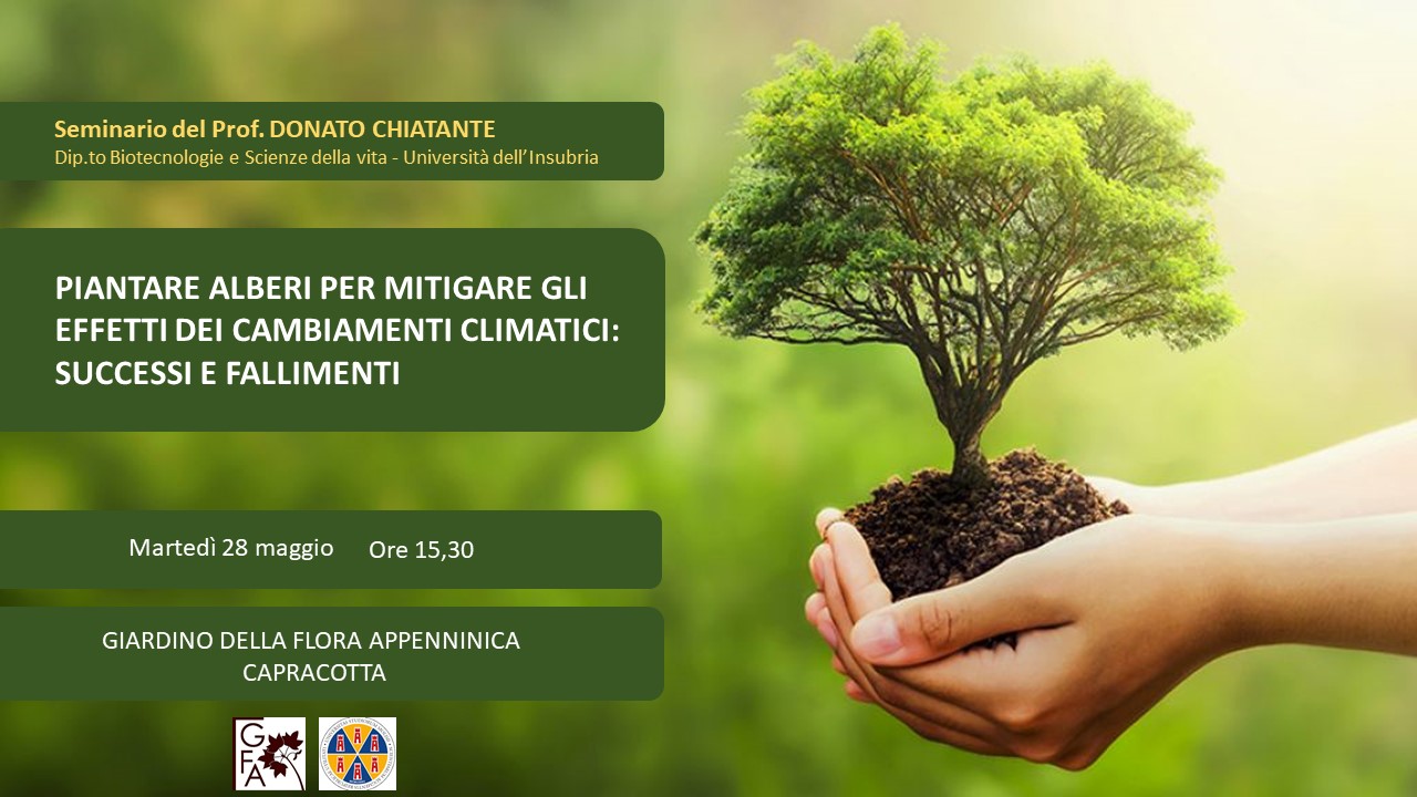 Piantare gli alberi per mitigare gli effetti dei cambiamenti climatici: successi e fallimenti