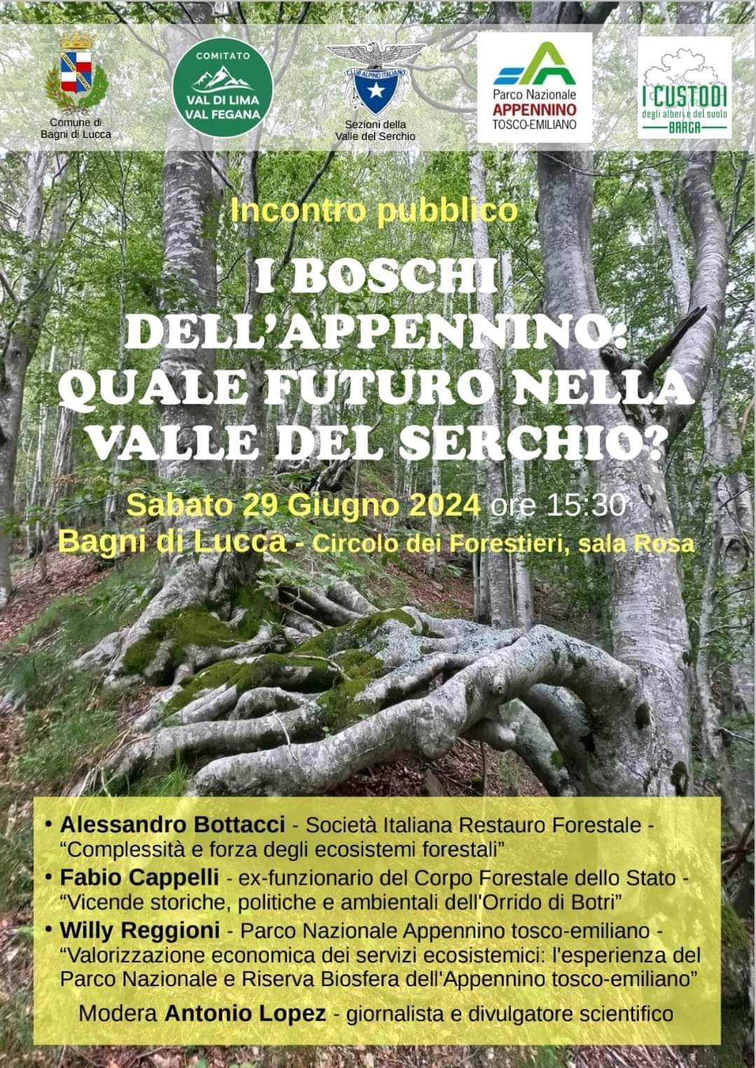I boschi dell’Appennino: quale futuro nella valle del Serchio