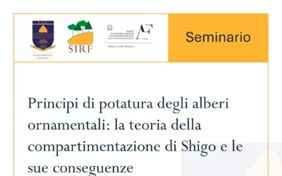 Principi di potatura degli alberi ornamentali
