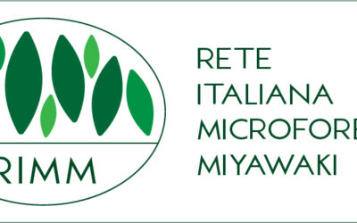 RIMM – Rete Italiana delle Microforeste Miyawaki