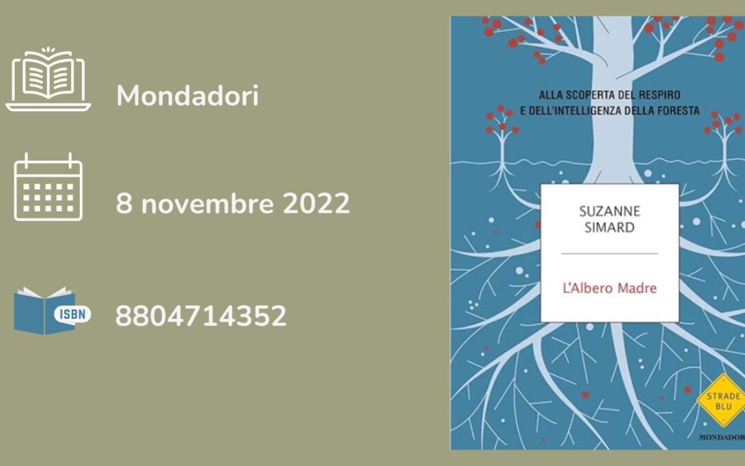 L’albero madre