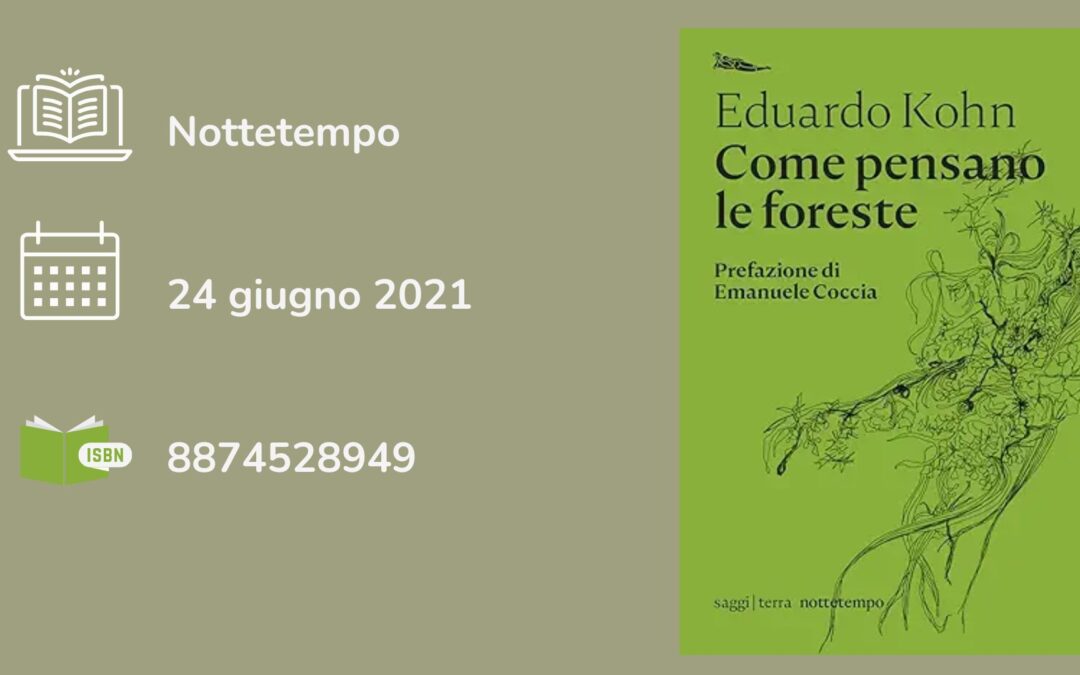 Come pensano le foreste