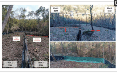 Approcci selvicolturali per la mitigazione dell’erosione del suolo in foresta