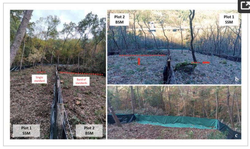 Approcci selvicolturali per la mitigazione dell’erosione del suolo in foresta