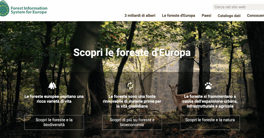 Cos’è il Sistema informativo forestale per l’Europa