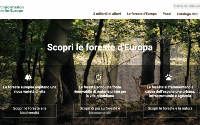 Cos’è il Sistema informativo forestale per l’Europa
