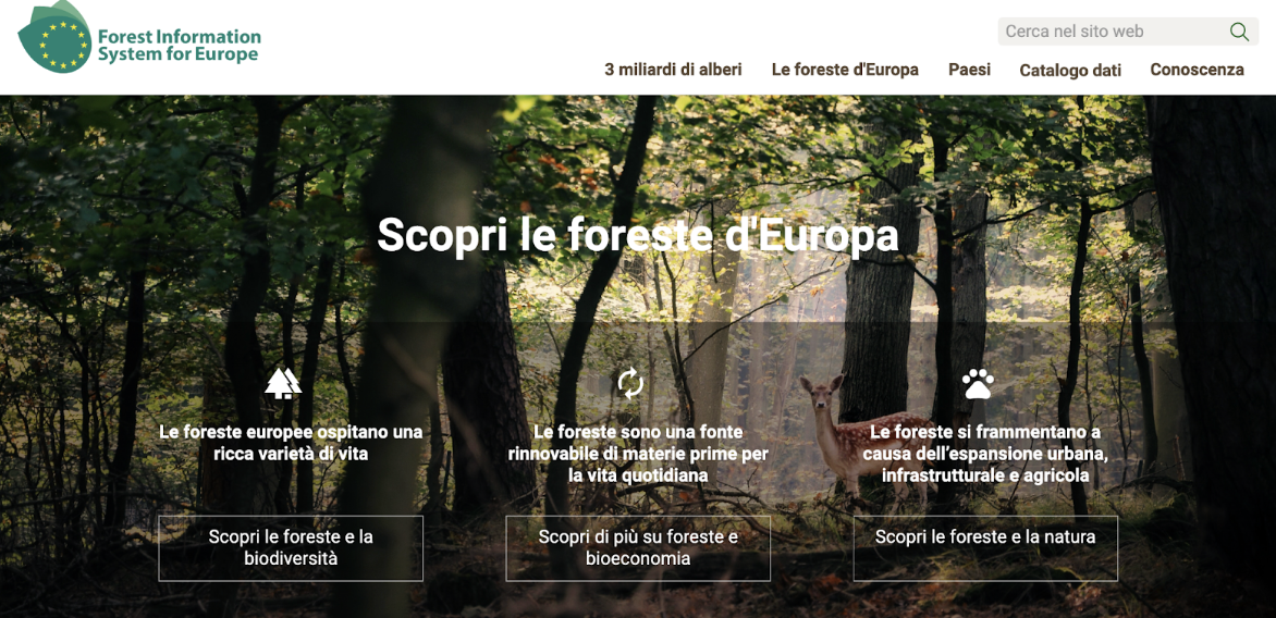 Screenshot 2025-10-20 alle 13.01.27