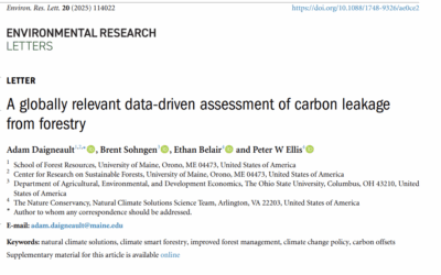Verso una nuova natura selvaggia europea: abbracciare la crescita forestale incontrollata e la decolonizzazione della natura