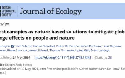 Chiome delle Foreste: Soluzioni Naturali contro il Cambiamento Climatico