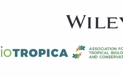 Alla ricerca delle liane giganti: le più grandi dei sei continenti